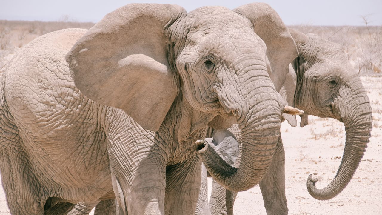 Reisspecialist Celia van Matoke Tours op selfdrive studiereis door Namibië, Botswana en Zimbabwe