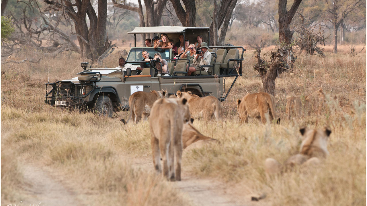 11-daagse reis 'het beste van Botswana' - Matoke Tours