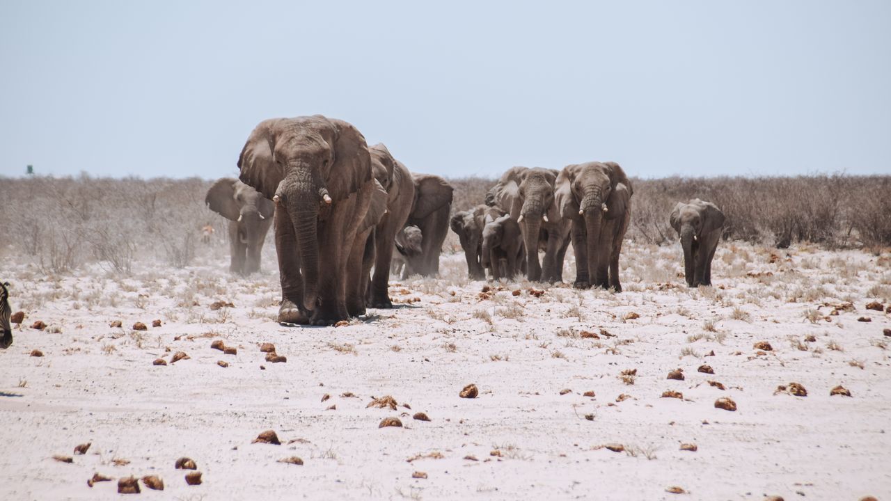 Reisspecialist Celia van Matoke Tours op selfdrive studiereis door Namibië, Botswana en Zimbabwe