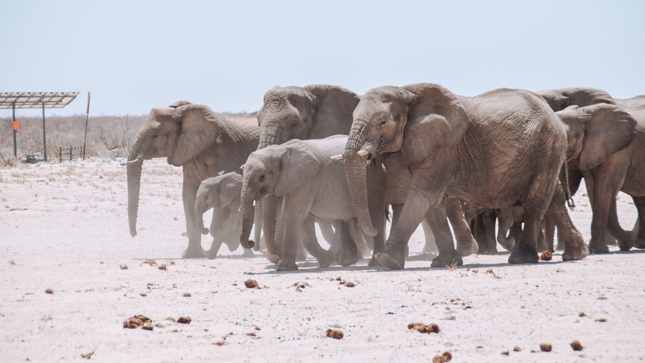 Reisspecialist Celia van Matoke Tours op selfdrive studiereis door Namibië, Botswana en Zimbabwe