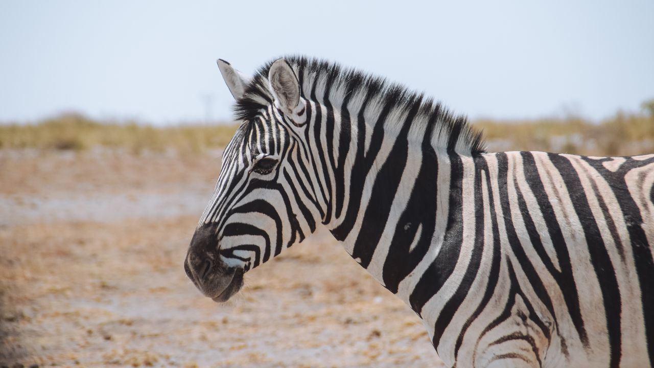 Reisspecialist Celia van Matoke Tours op selfdrive studiereis door Namibië, Botswana en Zimbabwe