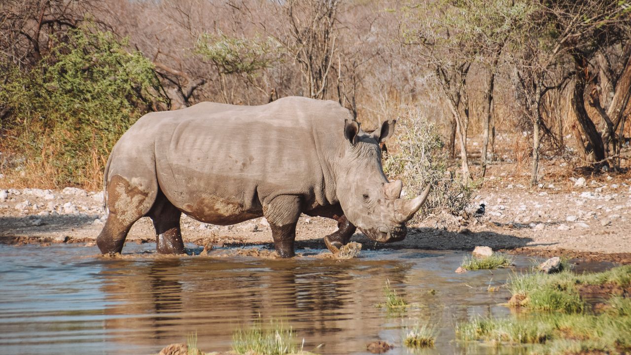 Reisspecialist Celia van Matoke Tours op selfdrive studiereis door Namibië, Botswana en Zimbabwe