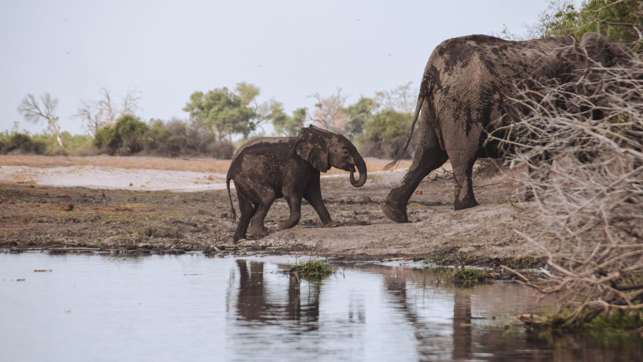 Reisspecialist Celia van Matoke Tours op selfdrive studiereis door Namibië, Botswana en Zimbabwe