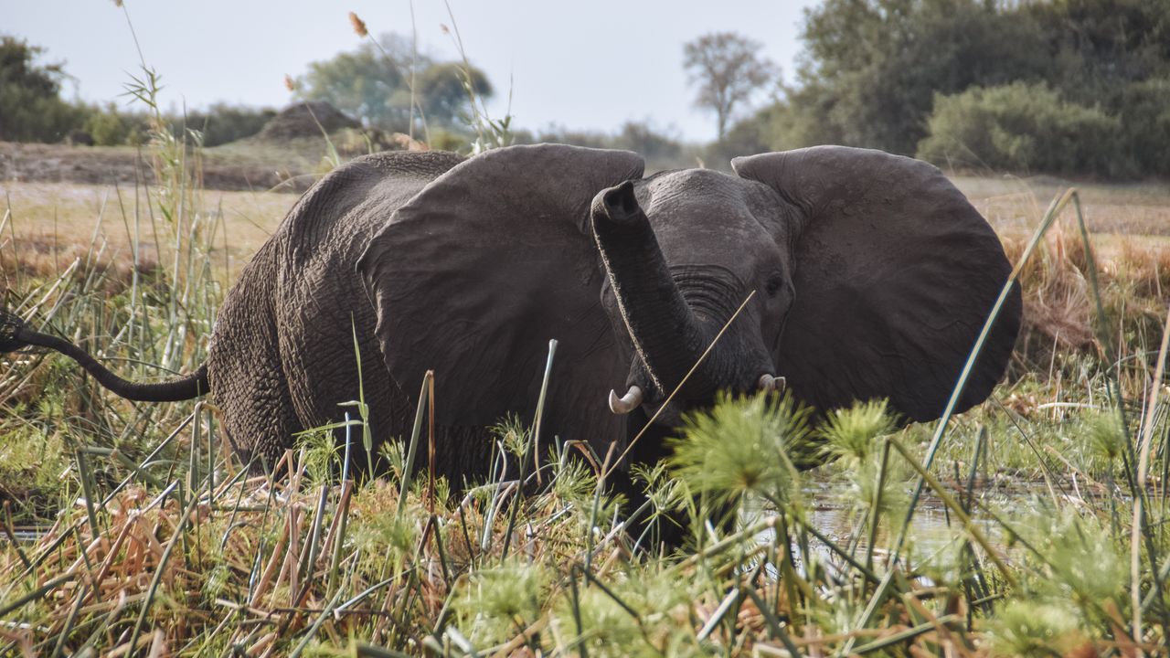 Reisspecialist Celia van Matoke Tours op selfdrive studiereis door Namibië, Botswana en Zimbabwe