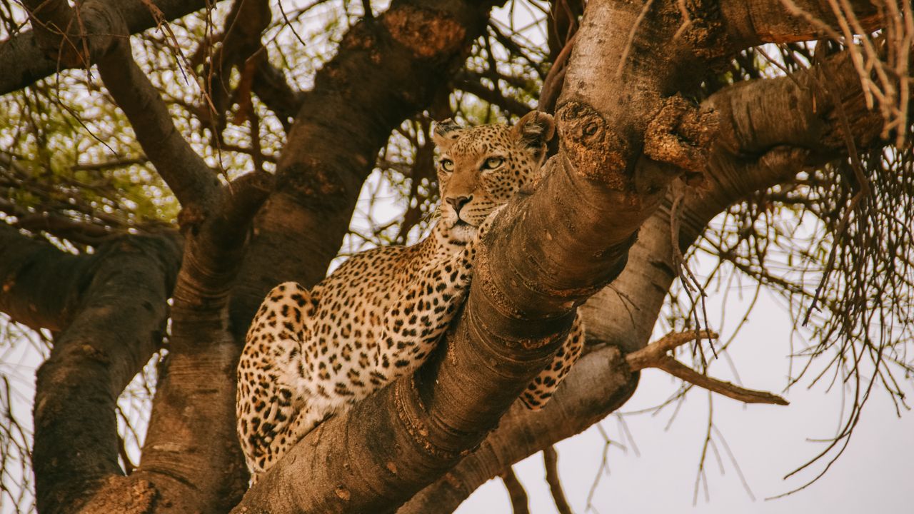 Reisspecialist Celia van Matoke Tours op selfdrive studiereis door Namibië, Botswana en Zimbabwe