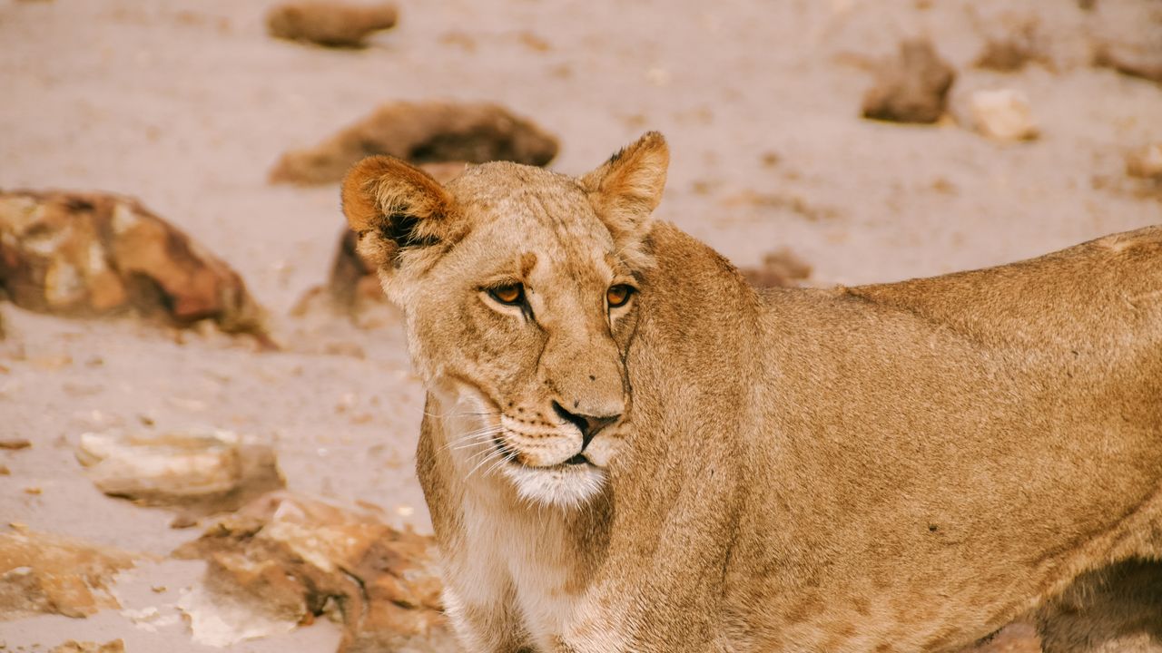 Reisspecialist Celia van Matoke Tours op selfdrive studiereis door Namibië, Botswana en Zimbabwe