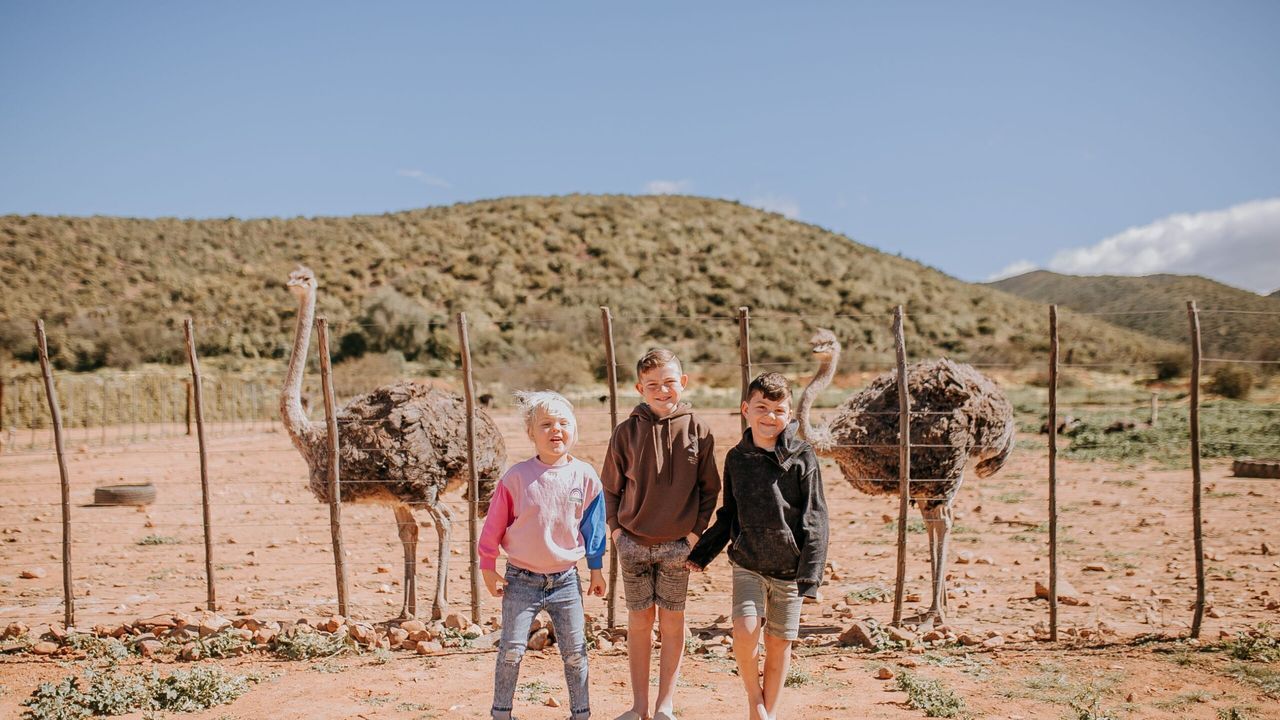 Hoe kies je de beste rondreis door Zuid-Afrika? | Matoke Tours