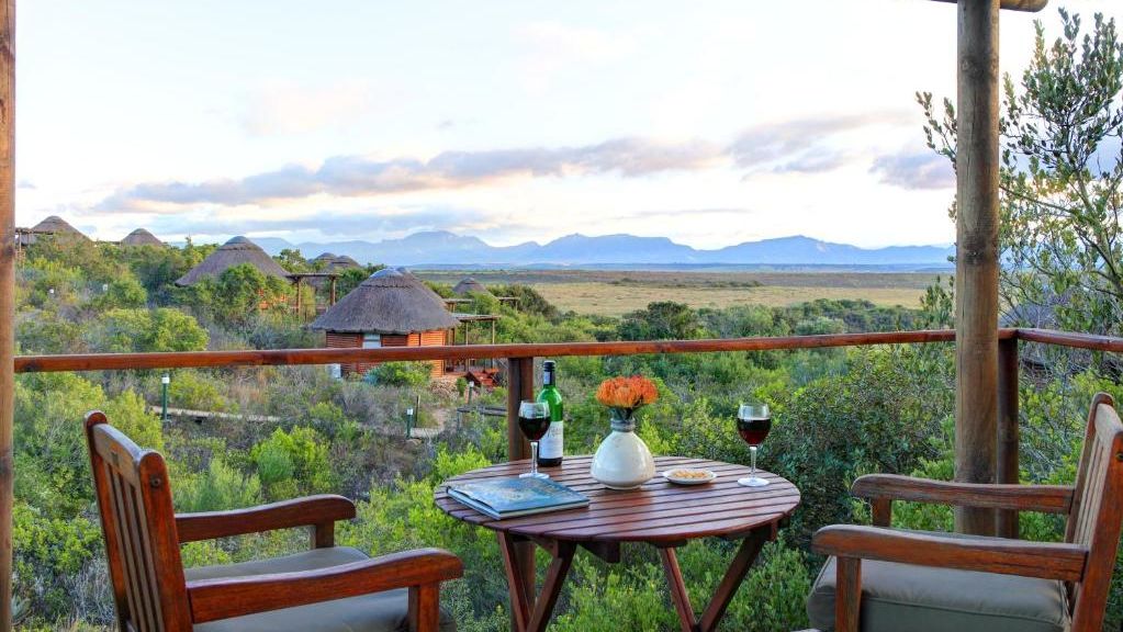 Hoe kies je de beste rondreis door Zuid-Afrika? | Matoke Tours