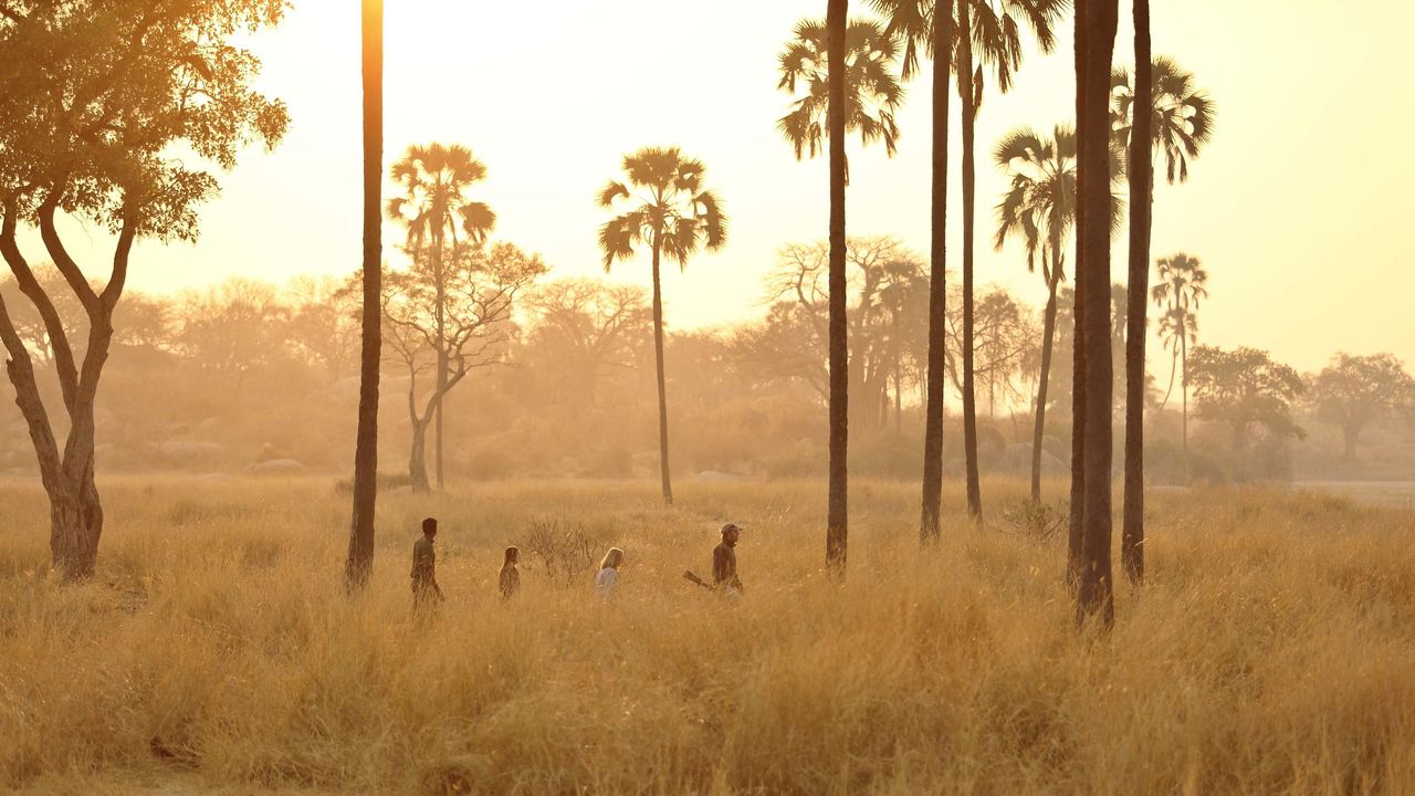 Fly-in safari Tanzania - Zuid Tanzania per vliegtuig - Matoke Tours