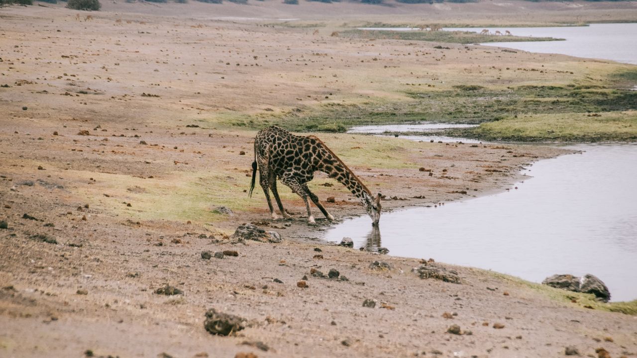 Reisspecialist Celia van Matoke Tours op selfdrive studiereis door Namibië, Botswana en Zimbabwe