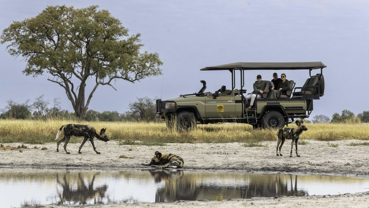 11-daagse reis 'het beste van Botswana' - Matoke Tours