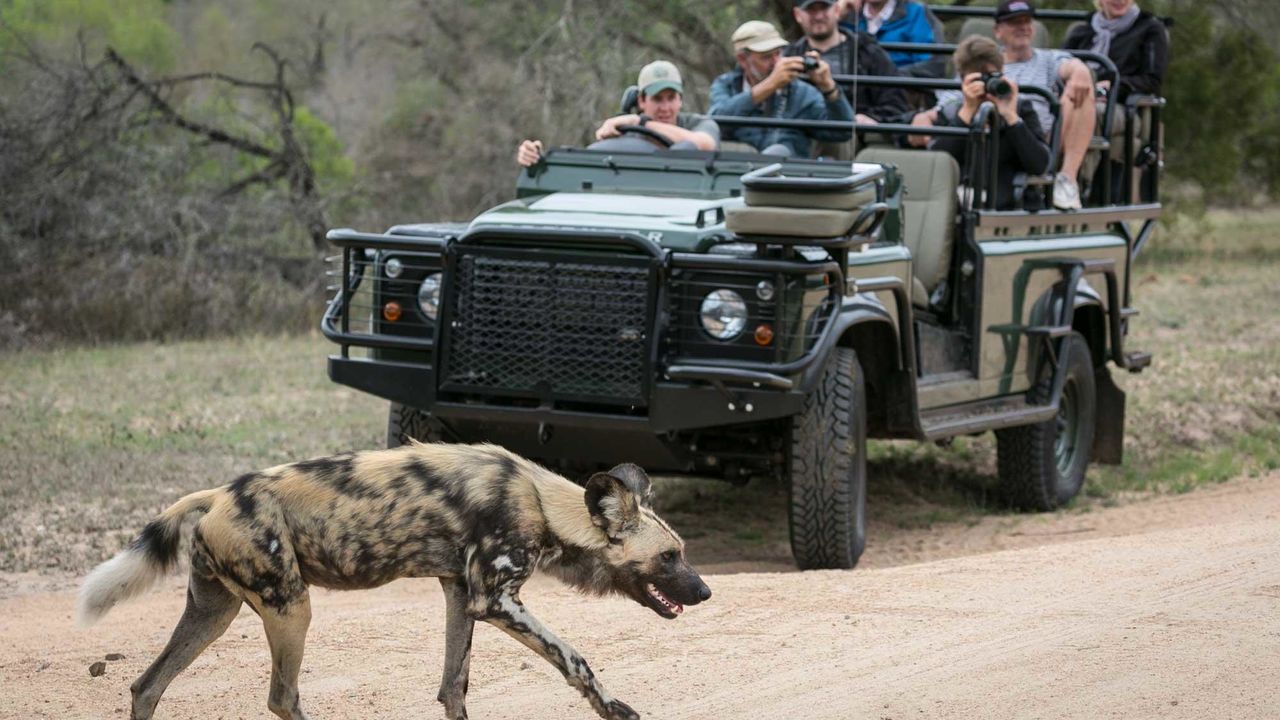 Drie weken Zuid-Afrika: 20-daagse reis Zuid Afrika, Lesotho en Eswatani