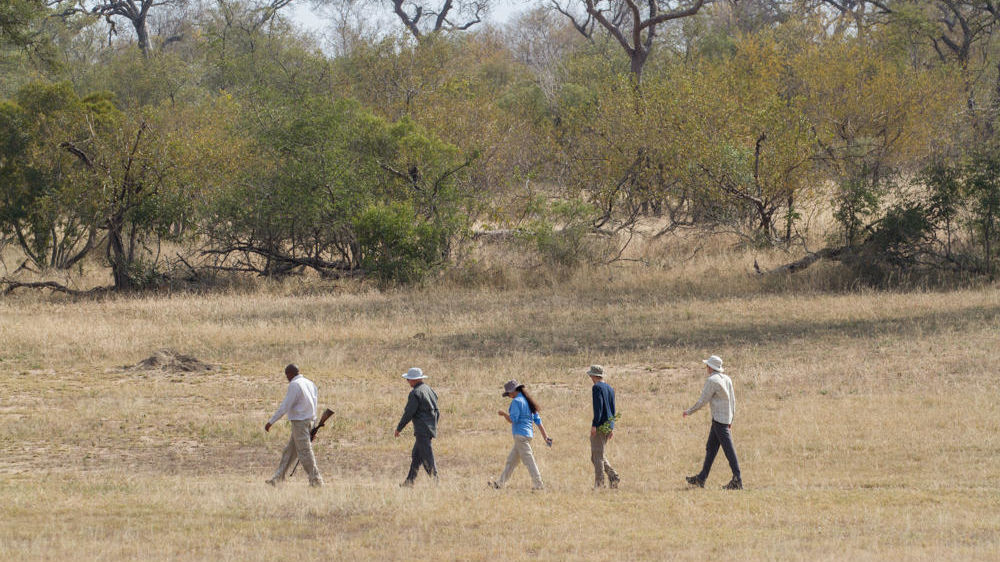 Zuid Afrika Mozambique reis | 16 dagen | Combineer Safari met strand