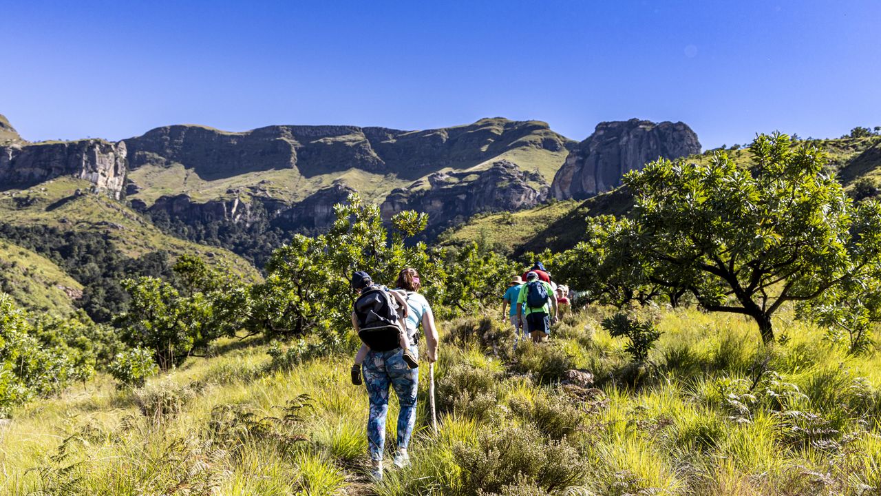 Hoedspruit - de safarihoofdstad van Zuid-Afrika | Matoke Tours