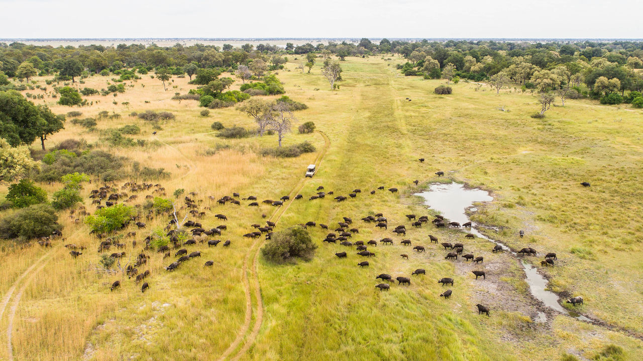 Self-drive reis Namibie Botswana en Victoria Falls | Matoke Tours