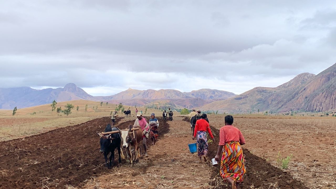 Reisspecialisten van Matoke Tours op studiereis in Madagascar