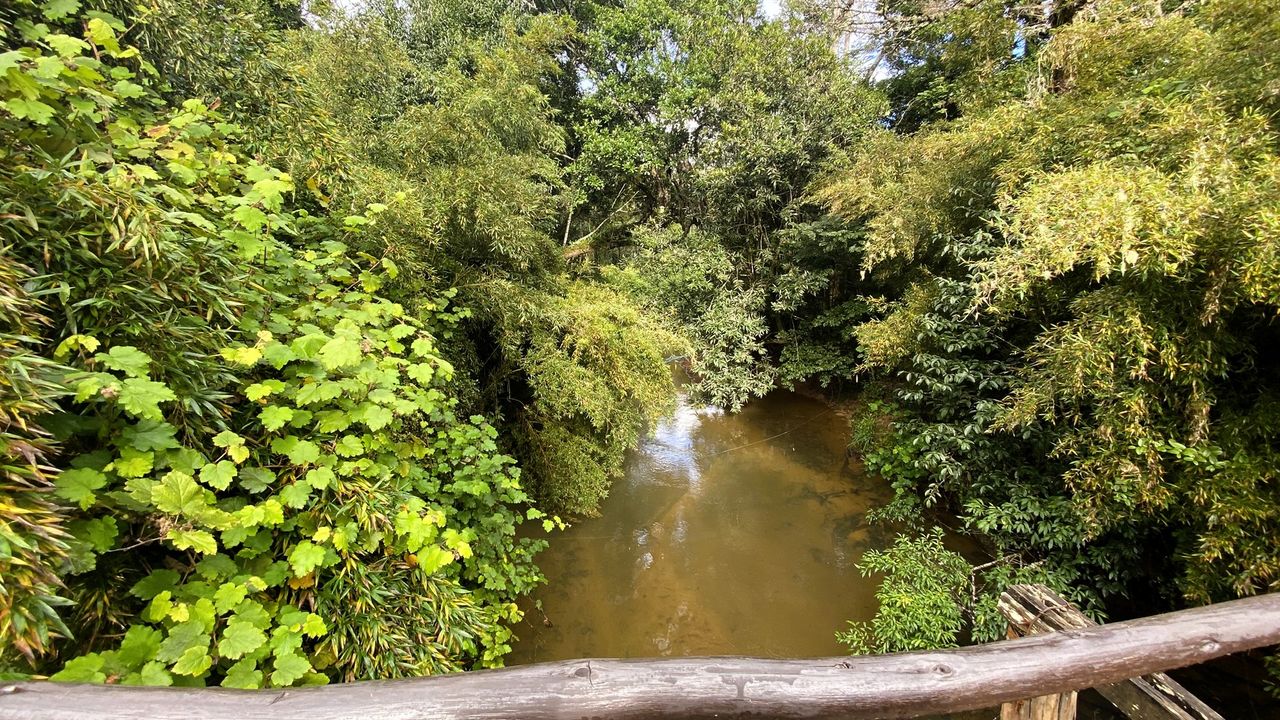 Reisspecialist Sanne op studiereis in Madagascar | Matoke Tours