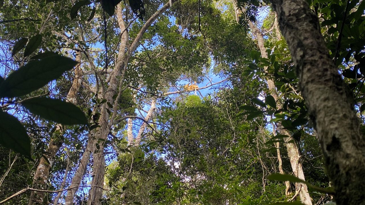 Reisspecialist Sanne op studiereis in Madagascar | Matoke Tours