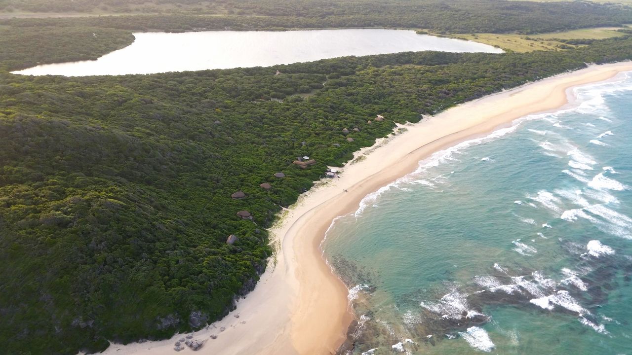 Safari Mozambique in Maputo National Park | Matoke Tours