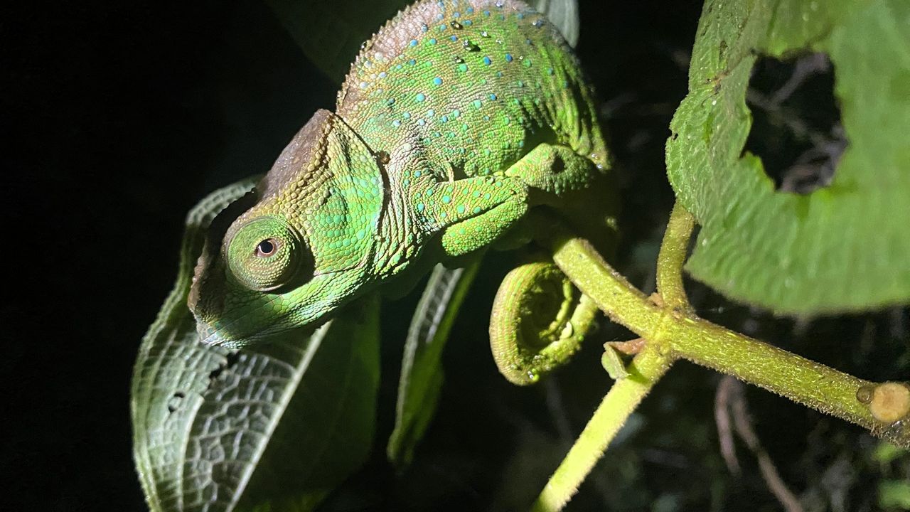 Reisspecialist Sanne op studiereis in Madagascar | Matoke Tours