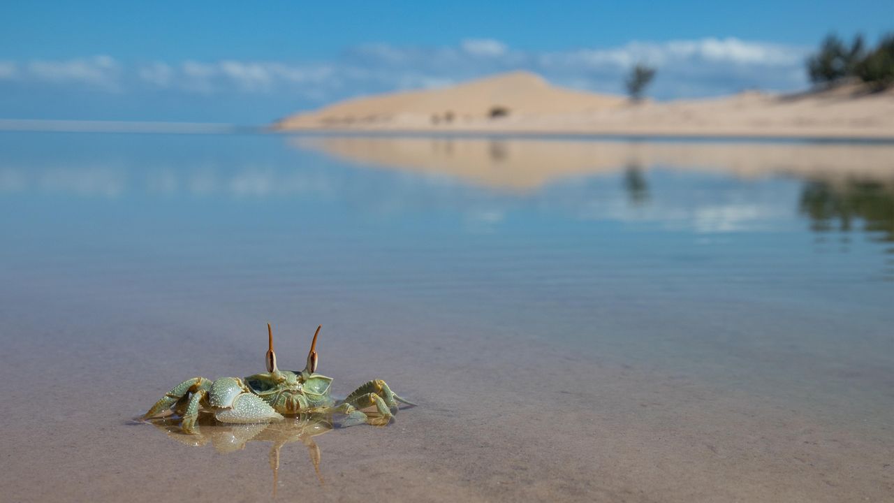 Vakantie Mozambique en rondreis | uit liefde voor Afrika | Matoke Tours