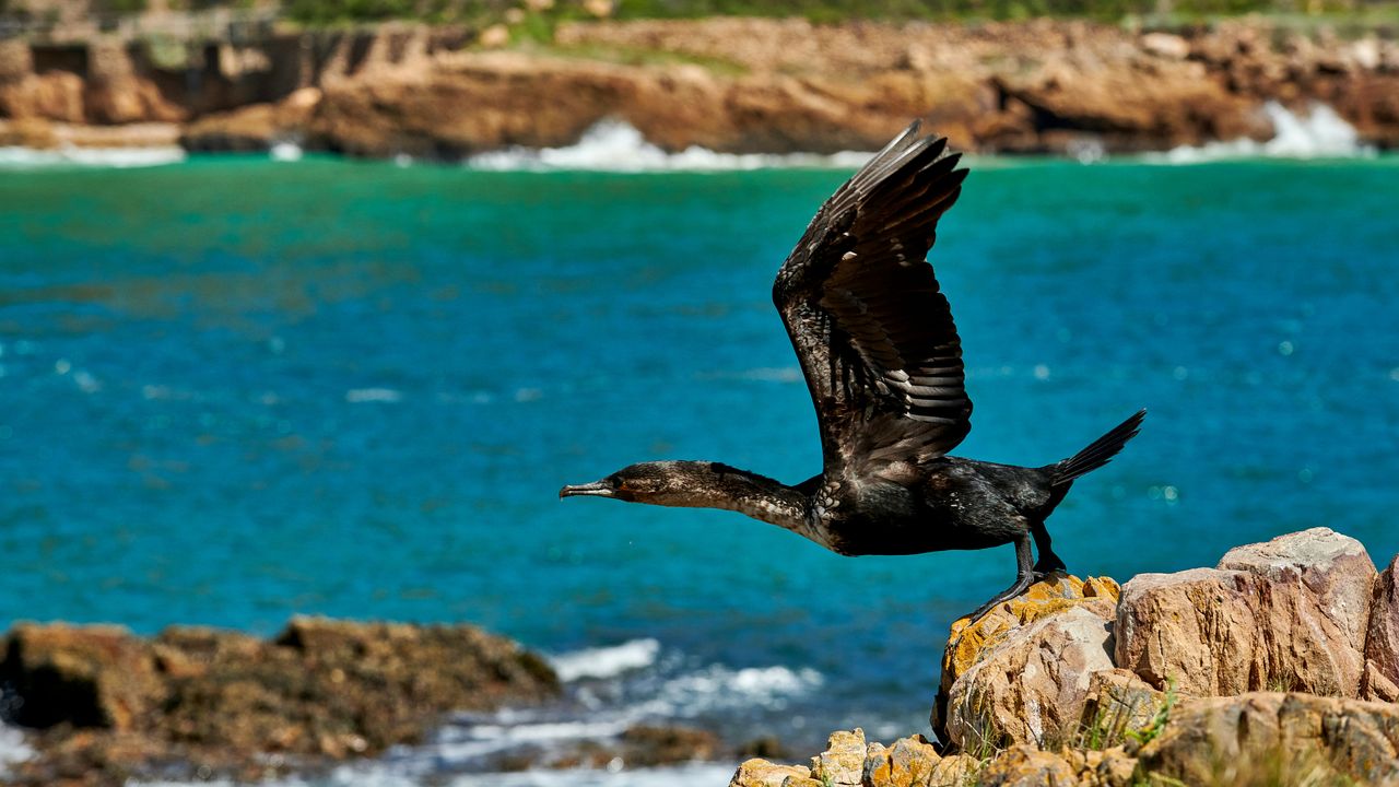 Knysna - de parel van de Tuinroute | Matoke Tours