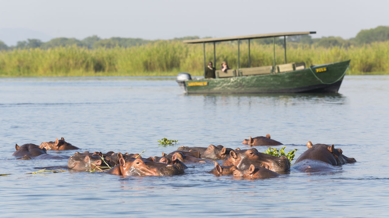 Malawi Zambia Groepsreis - Matoke Tours