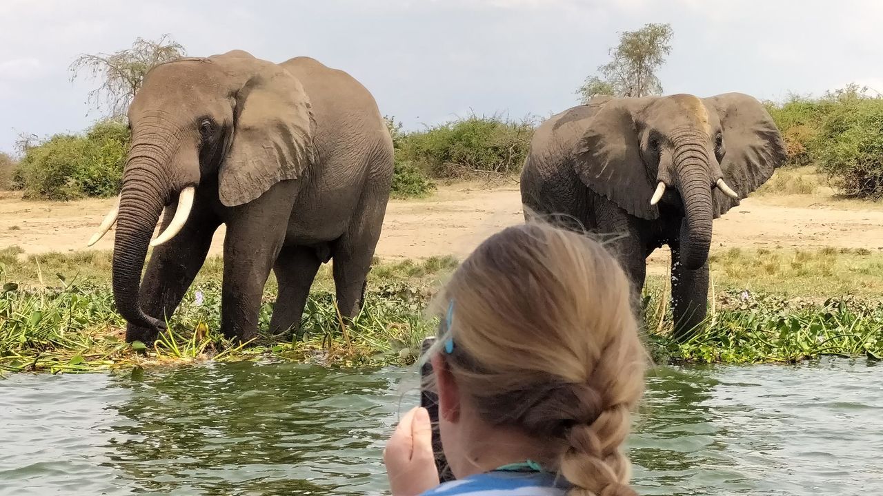 Met gezin op safari naar Oeganda en Zanzibar