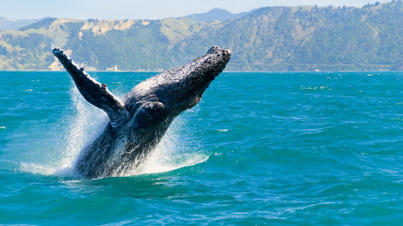 Privéreis Madagascar RN7 walvissen - 21 dagen|Matoke Tours