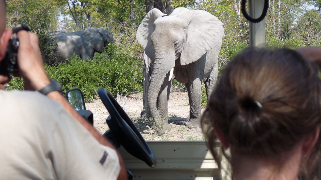 Reisspecialist Paula van Matoke Tours op studiereis in Botswana