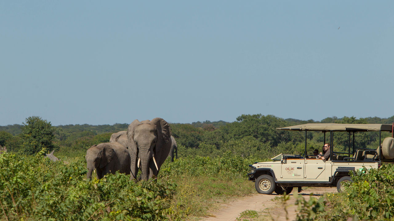 11-daagse reis 'het beste van Botswana' - Matoke Tours