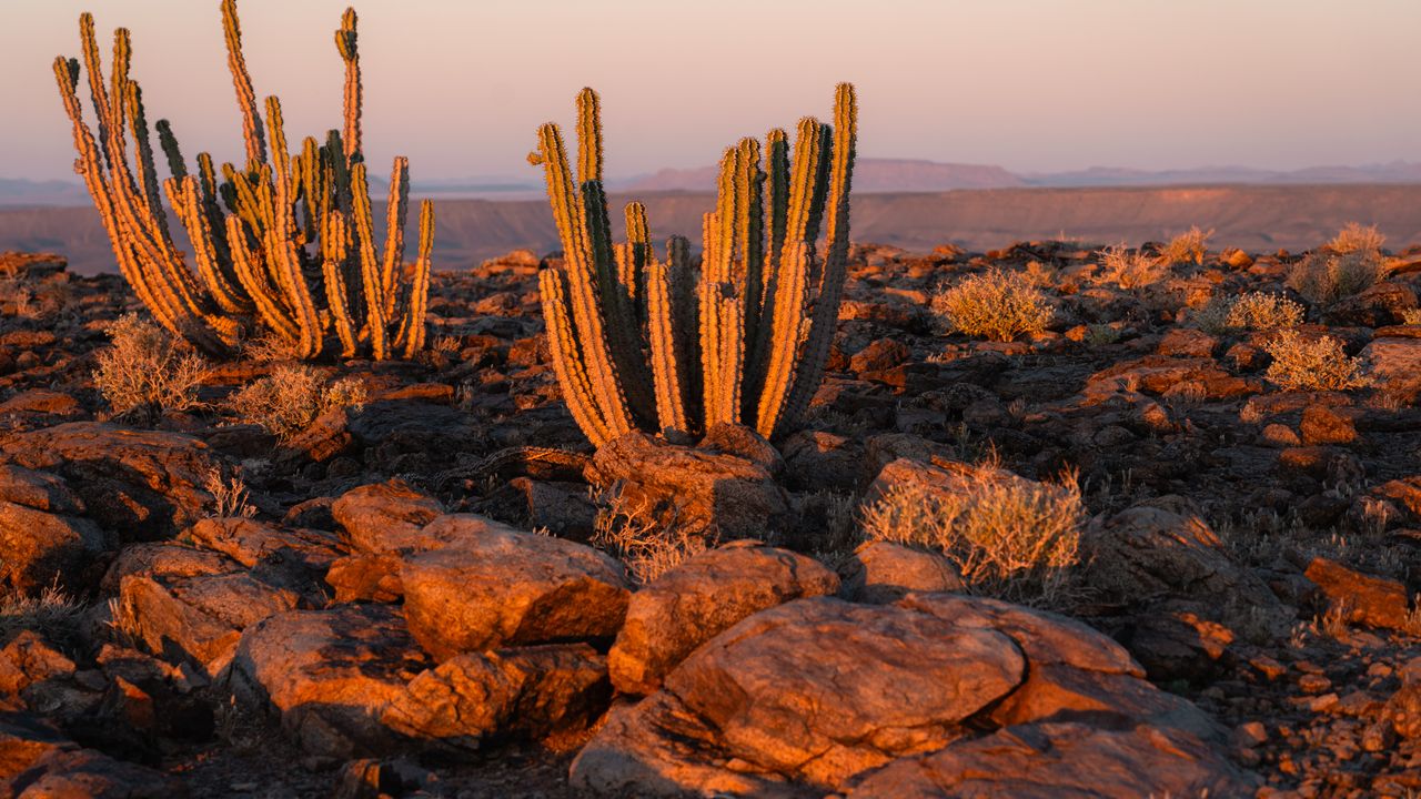 Reisinformatie Namibie | Matoke Tours