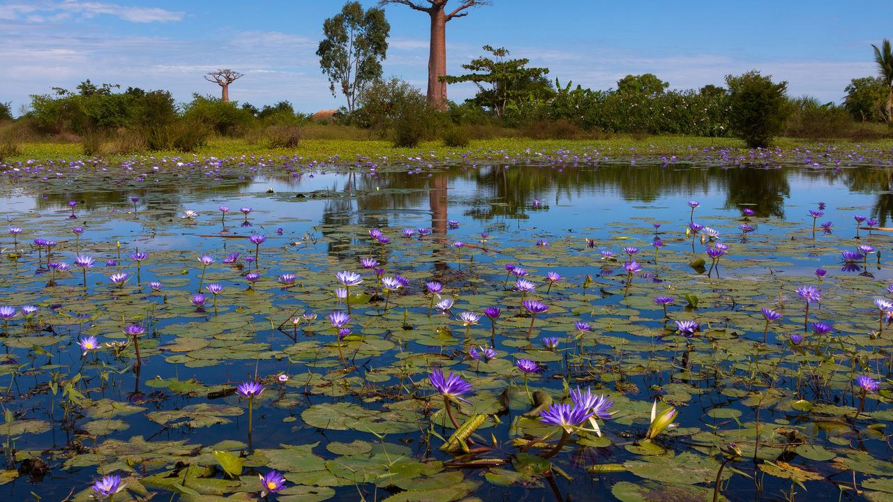 Privéreis Madagascar RN7 walvissen - 21 dagen|Matoke Tours