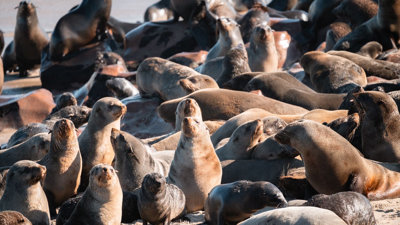 Reisinformatie Namibie | Matoke Tours