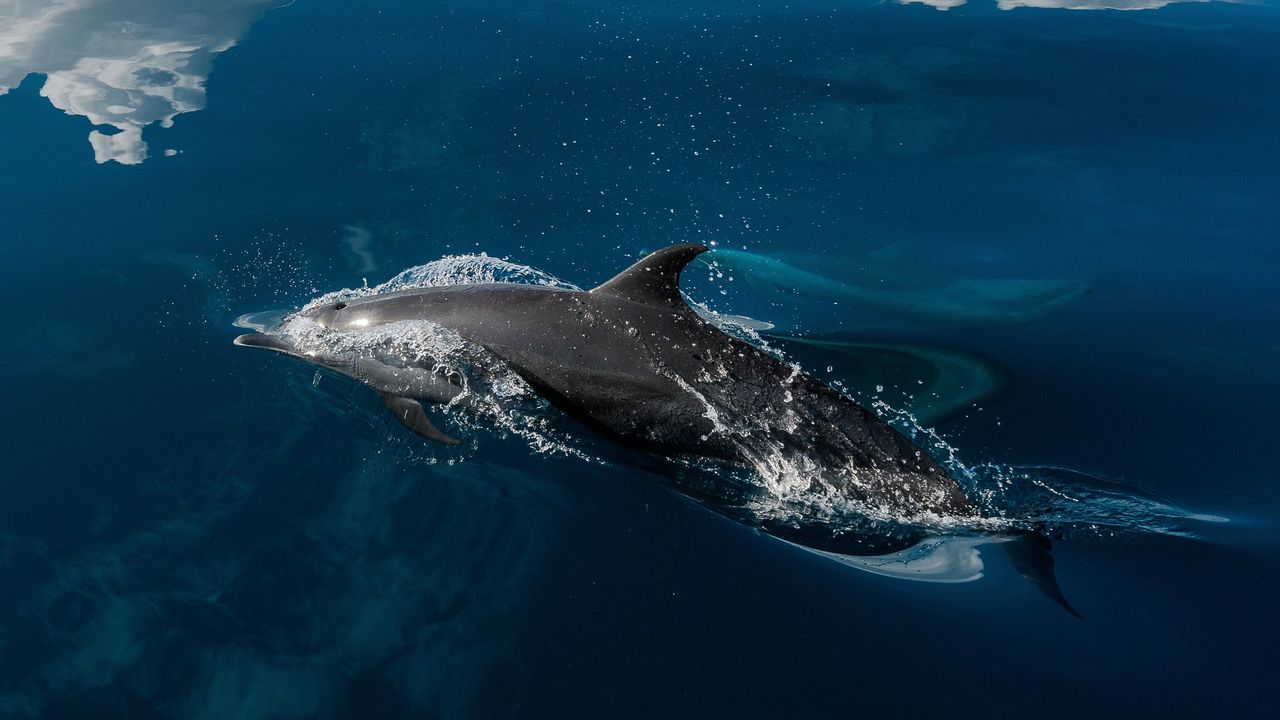 Vakantie Comoren - Reizen naar Comoren | Indische Oceaan | Matoke Tours