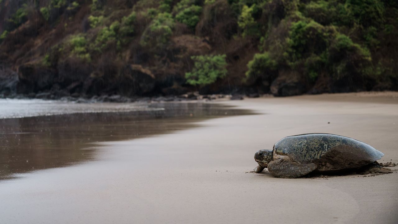 Vakantie Comoren - Reizen naar Comoren | Indische Oceaan | Matoke Tours
