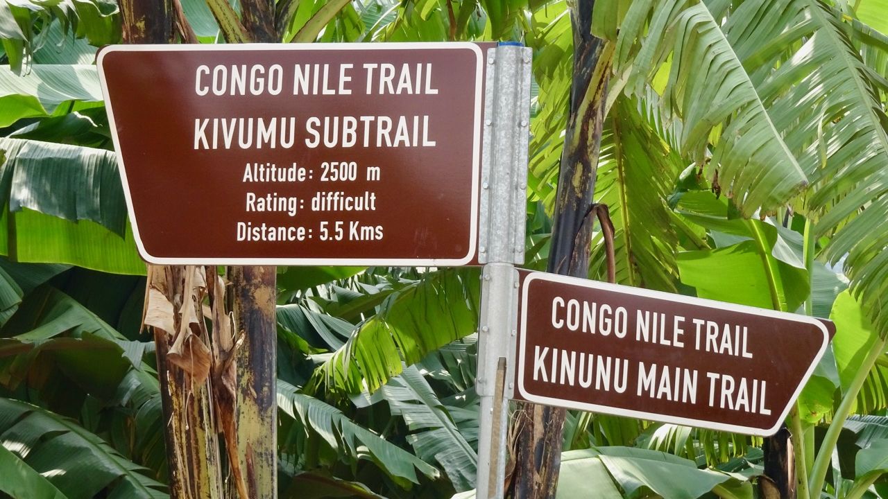 Verlenging Congo Nile trail » Matoke