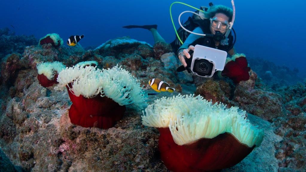 Snorkelen en duiken in Mauritius