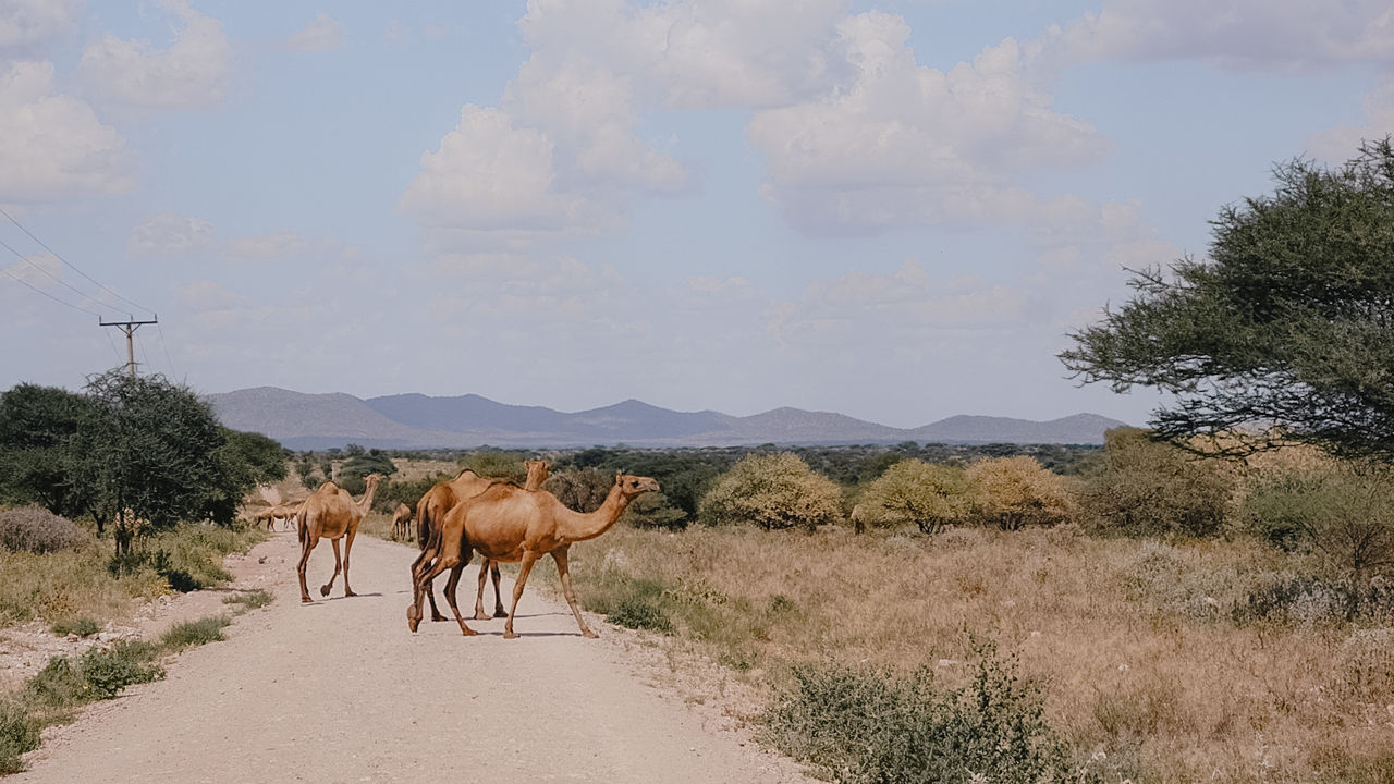 Reisspecialist Iris van Matoke Tours op studiereis in Kenia