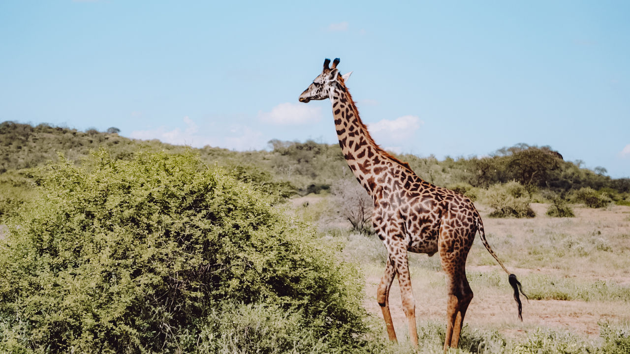 Reisspecialist Iris van Matoke Tours op studiereis in Kenia