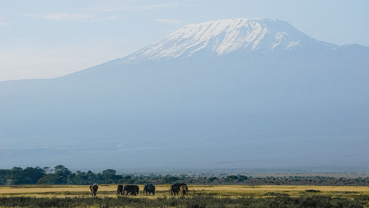 15-daagse Kenia en Seychellen reis | Matoke Tours