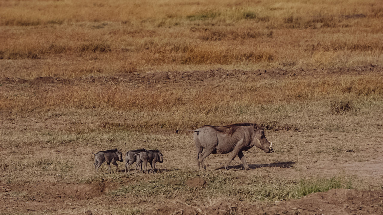 Reisspecialist Iris van Matoke Tours op studiereis in Kenia