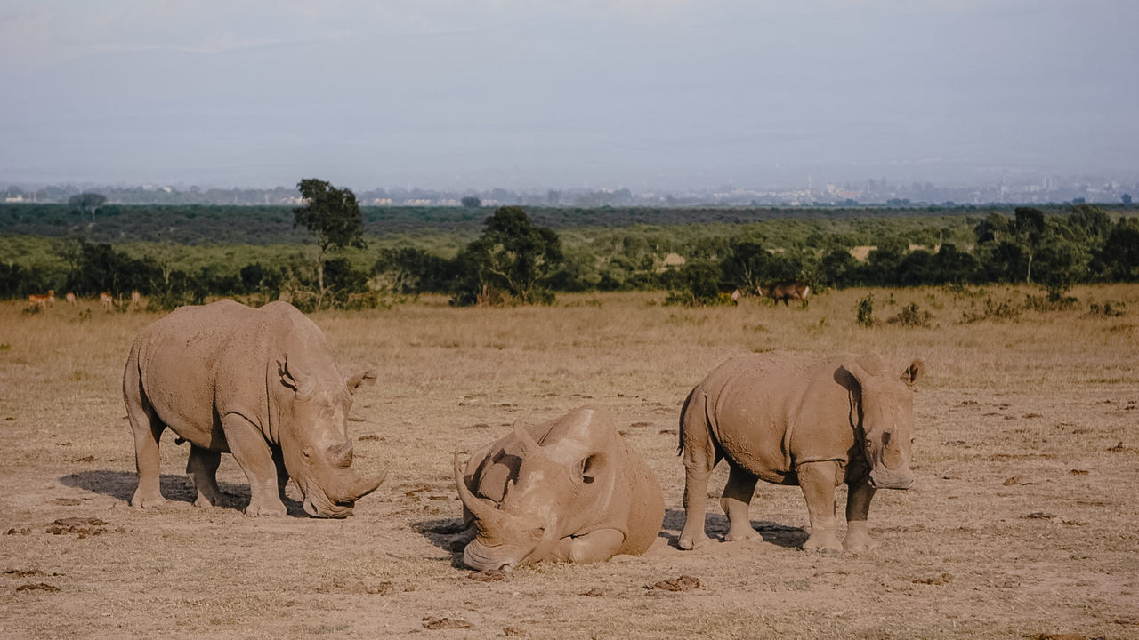 Reisspecialist Iris van Matoke Tours op studiereis in Kenia