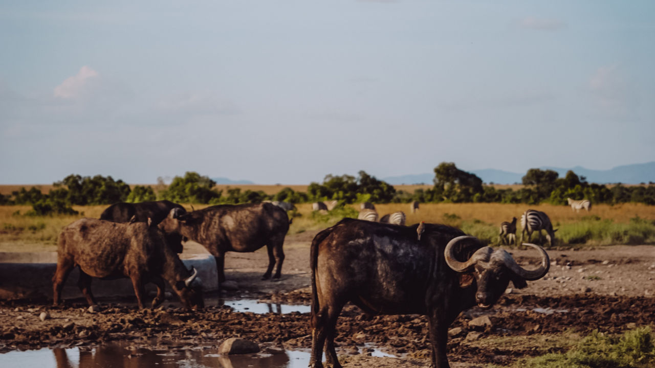 Reisspecialist Iris van Matoke Tours op studiereis in Kenia