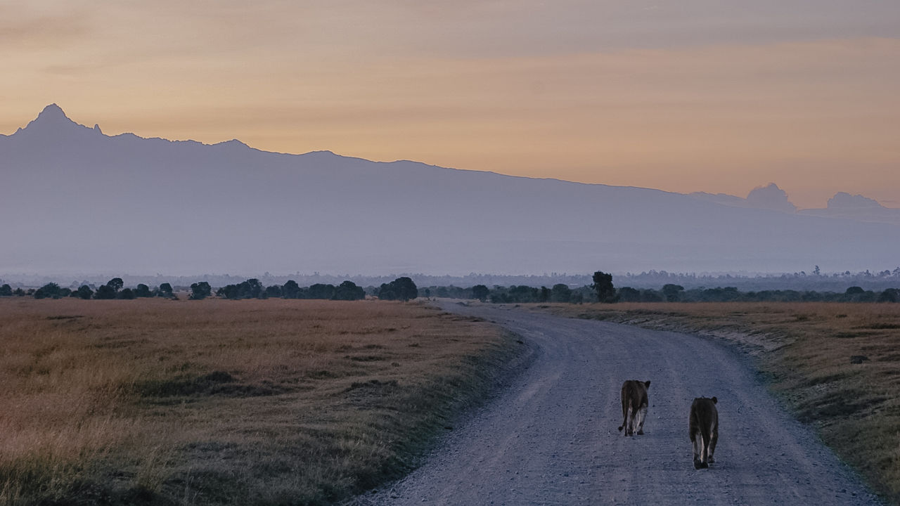 Reisspecialist Iris van Matoke Tours op studiereis in Kenia