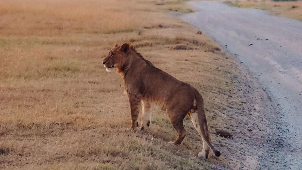 Reisspecialist Iris van Matoke Tours op studiereis in Kenia