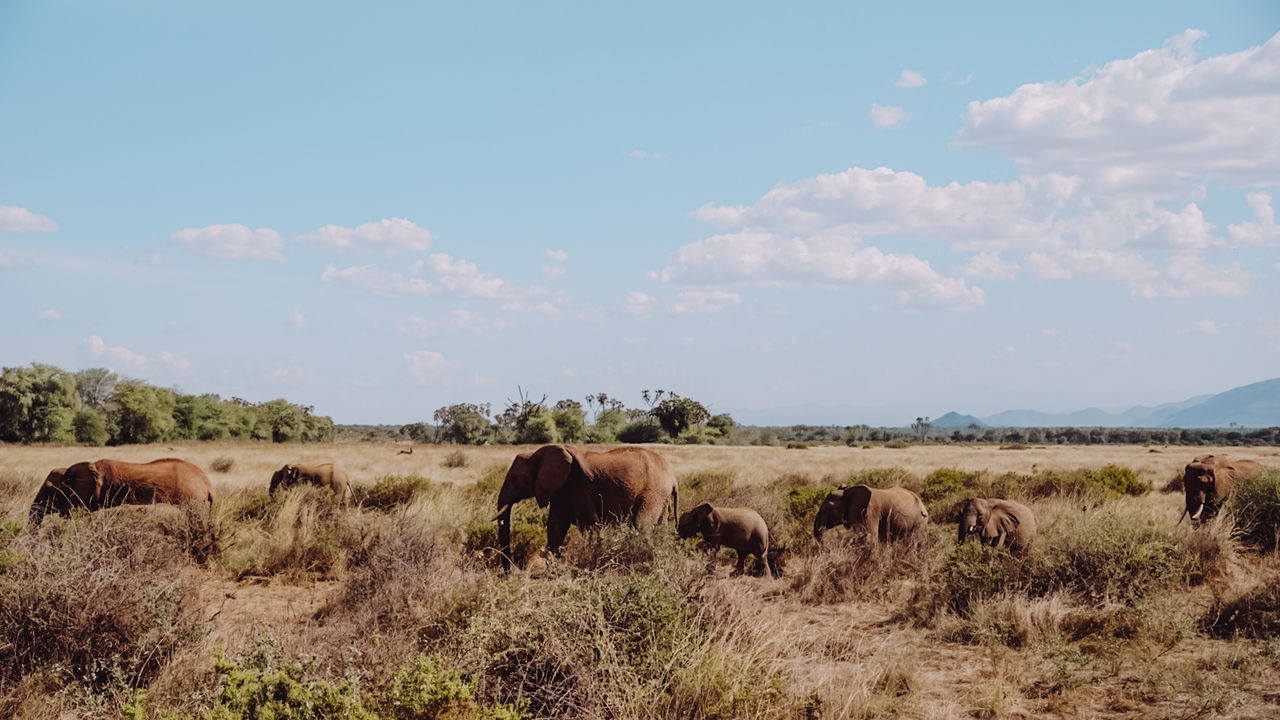 Reisspecialist Iris van Matoke Tours op studiereis in Kenia