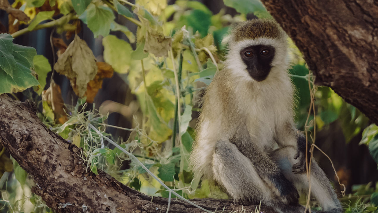 Reisspecialist Iris van Matoke Tours op studiereis in Kenia