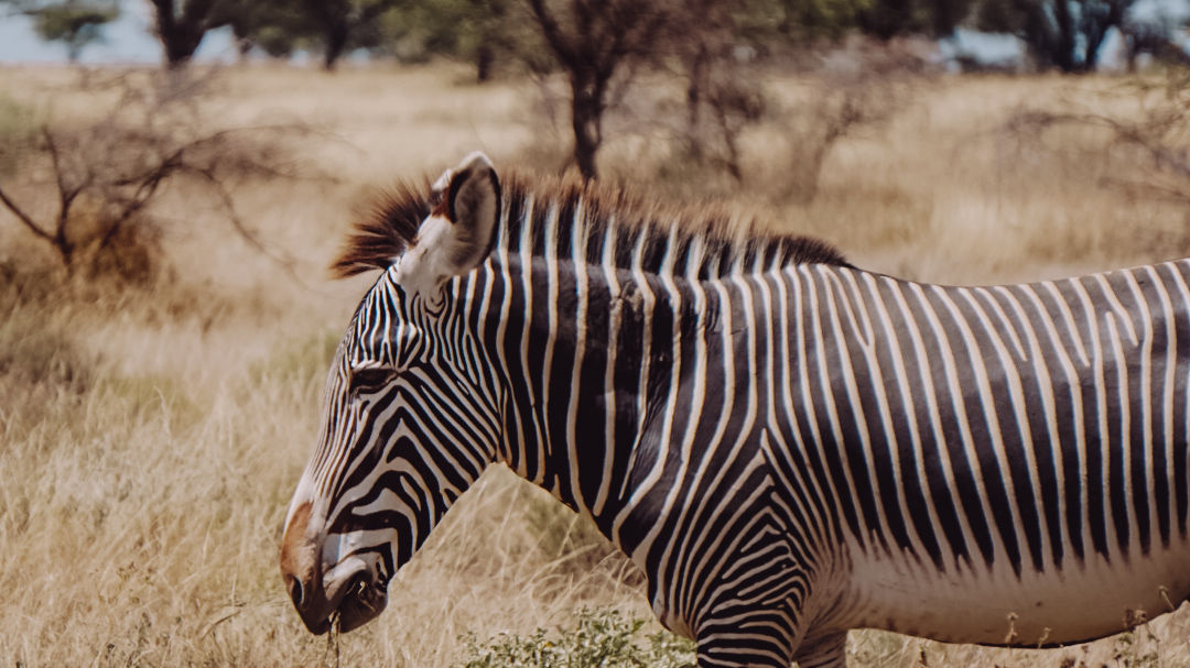 Reisspecialist Iris van Matoke Tours op studiereis in Kenia