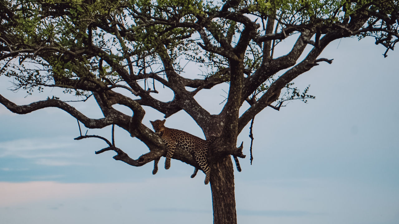 Reisspecialist Iris van Matoke Tours op studiereis in Kenia